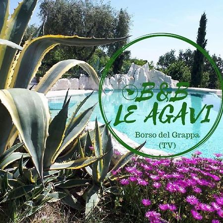 B&B Le Agavi Борсо-дель-Граппа Екстер'єр фото