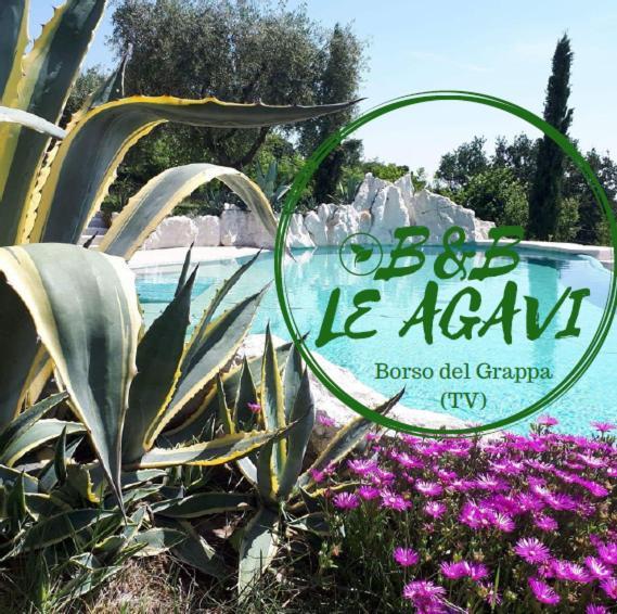B&B Le Agavi Борсо-дель-Граппа Екстер'єр фото